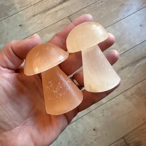 Selenite Mushroom